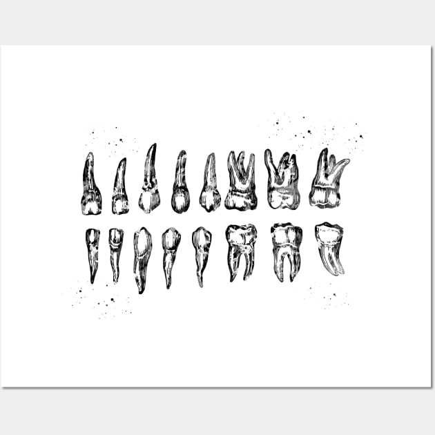 Teeth Diagram Wall Art by erzebeth